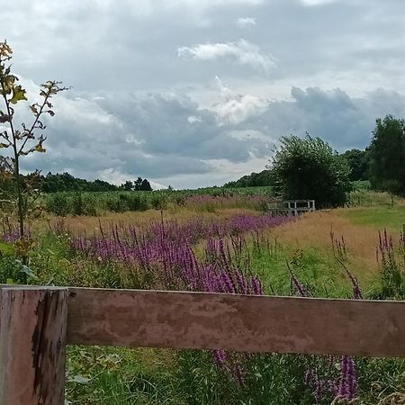 E Berry Farm - Slow Life Home Olszyna  Exterior photo