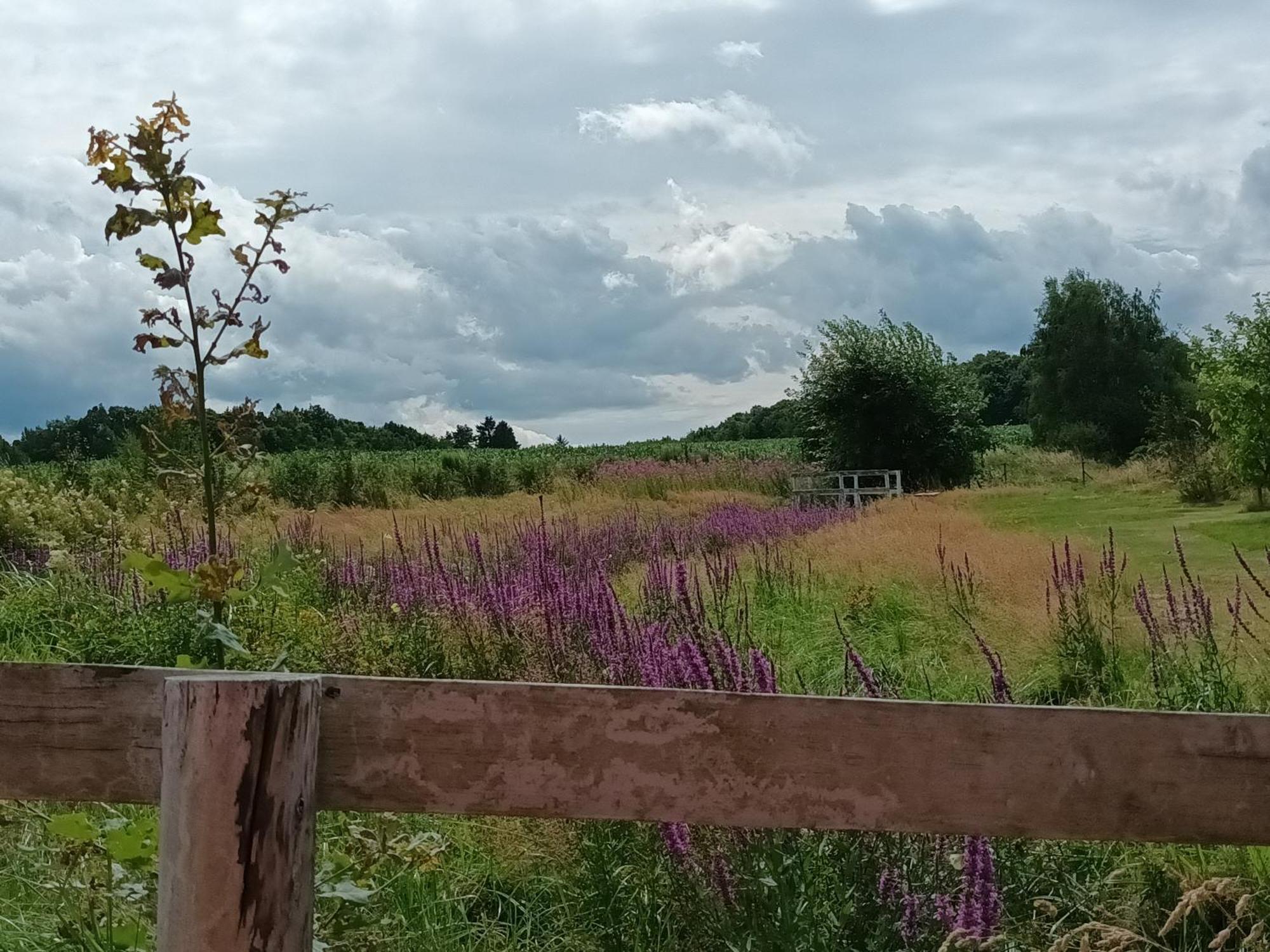 E Berry Farm - Slow Life Home Olszyna  Exterior photo